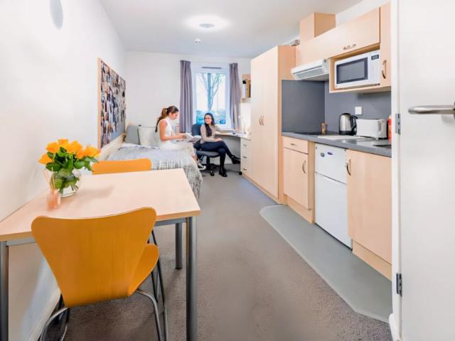 Studio for rent in Clifton, Haddon