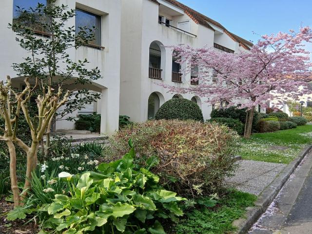 Studio vente à La Rochelle