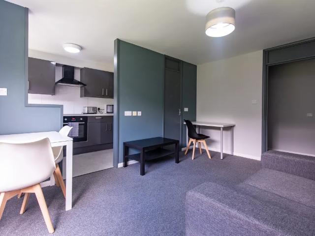 Studio for rent in Clifton, Haddon