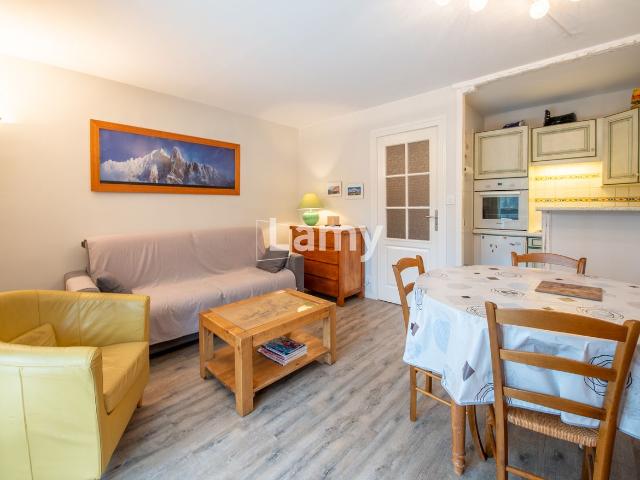 Studio vente à Grenoble, Les Deux Alpes