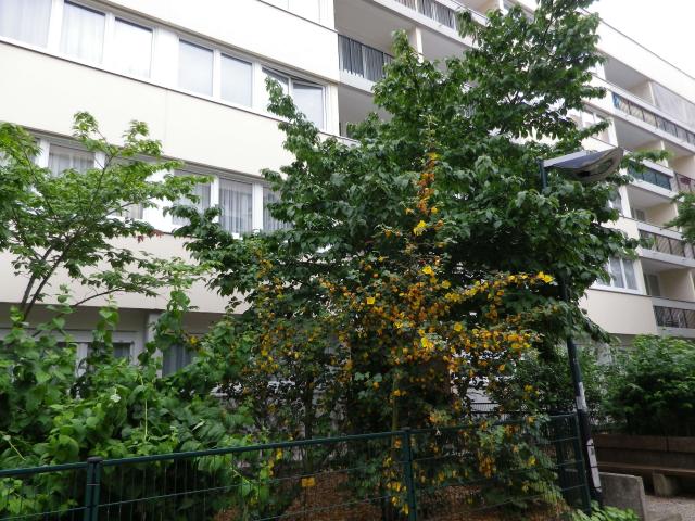 Appartement location à Palaiseau, Les Ulis