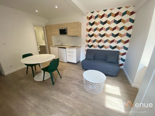 Appartement location à Yssingeaux, Monistrol-sur-loire