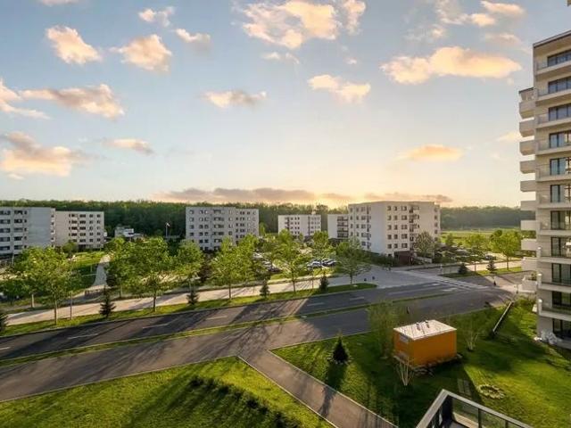 Garsonieră închirieri în Baneasa, Caraş-severin