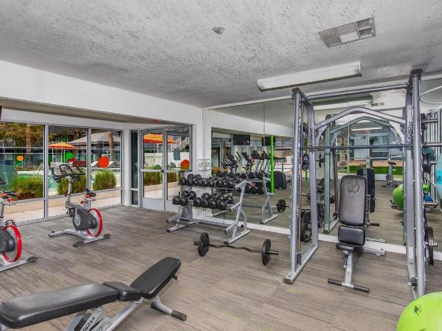 Apartment for rent in Tempe, Arizona