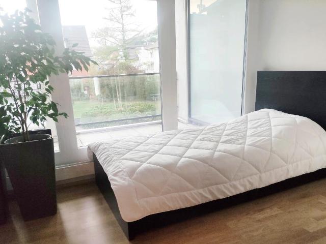 Studio mieten in Wettingen, Bezirk Baden