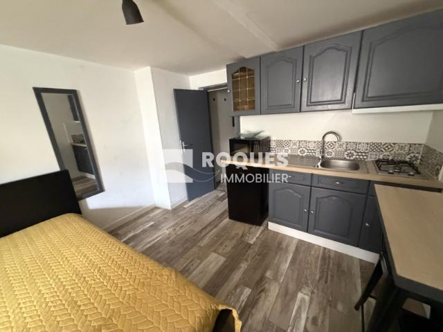 Appartement location à Millau