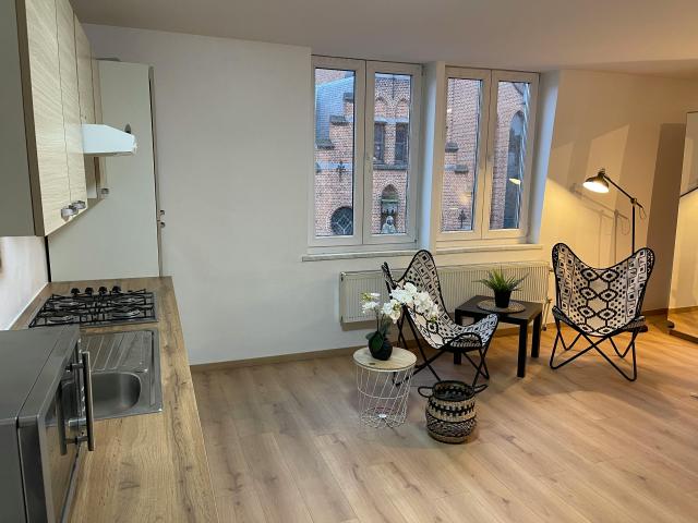 Appartement location à Seefhoek-Stuivenberg, Antwerpen
