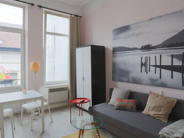 Appartement location à Elsene, Bruxelles