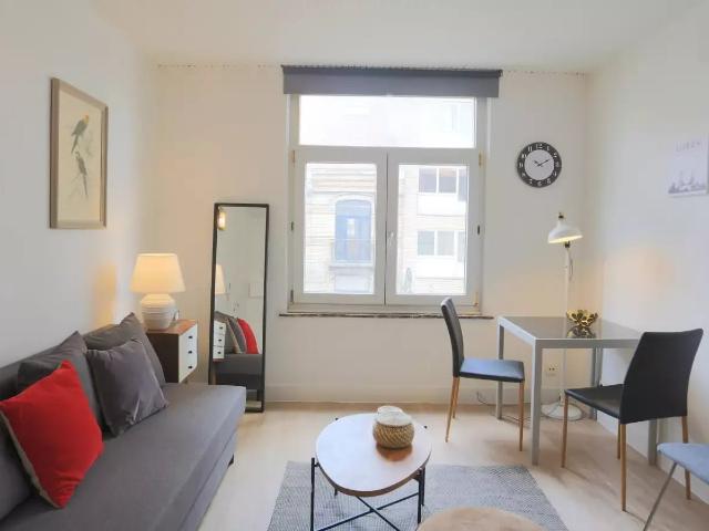 Appartement location à Saint-gilles, Bruxelles