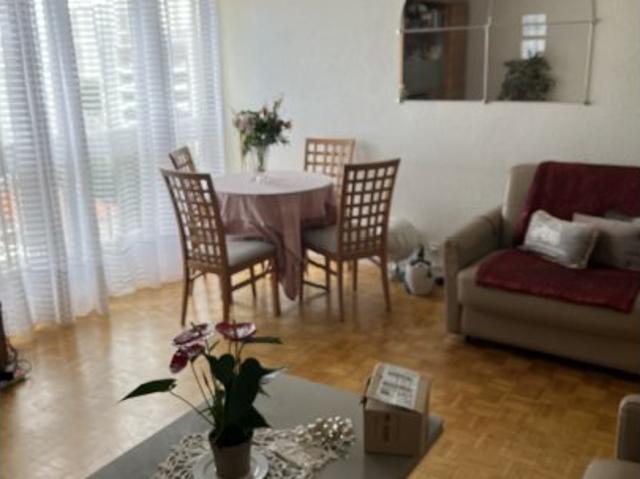 Studio location à L'Haÿ-les-Roses, Ivry-sur-seine