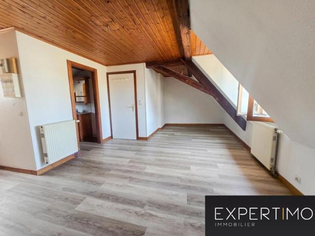 Appartement location à Thann-Guebwiller, Ensisheim