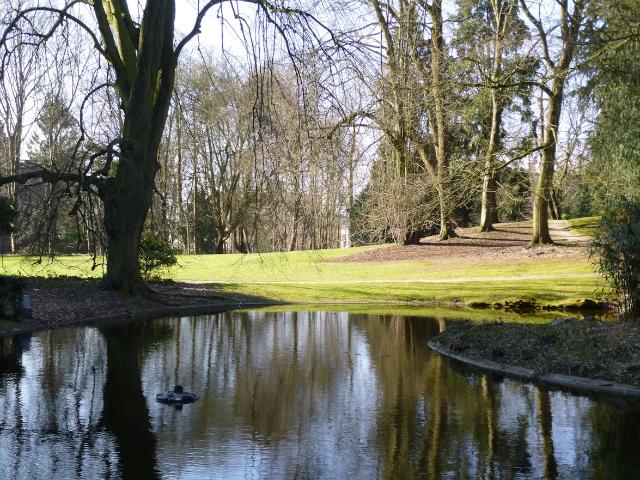 Kot location à Uccle, Bruxelles