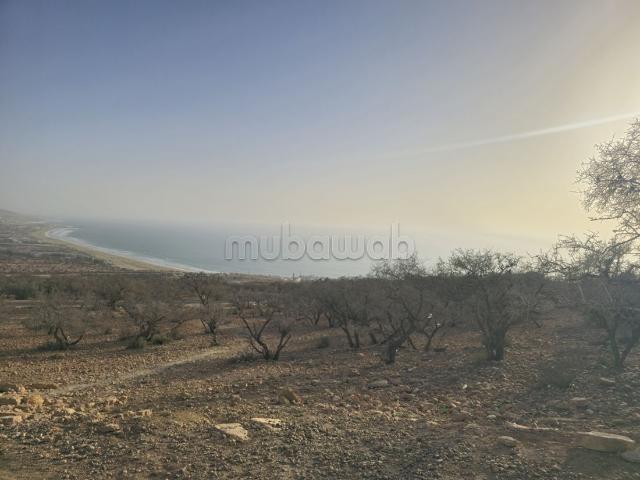 Appartement vente à Taghazout, Oued ed Dahab-Lagouira