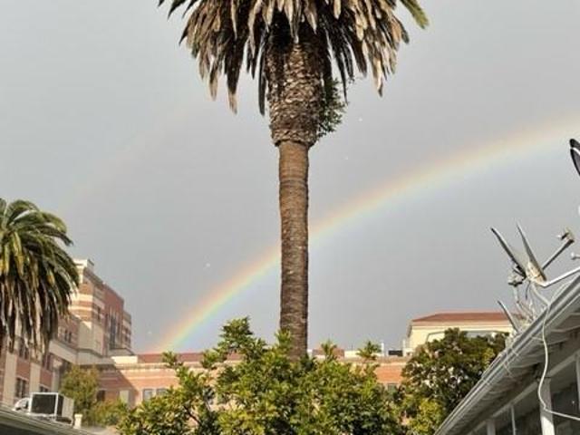 Apartment for rent in Santa Monica, California