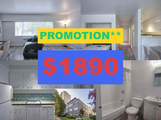 Apartment for rent in Vancouver, British Columbia