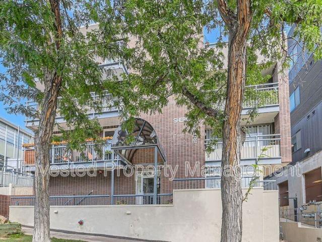 Apartment for rent in Denver, Colorado