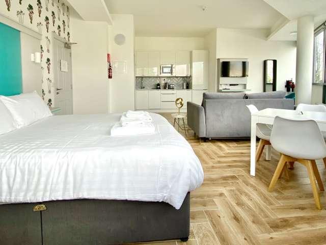 Studio to rent in Dublin 8, Bluebell