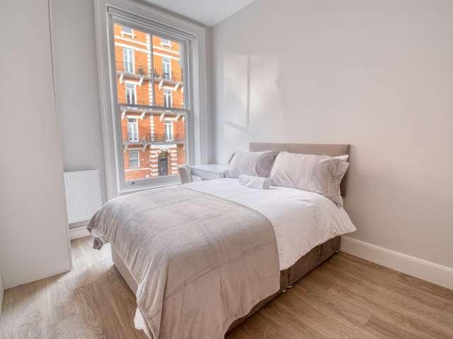 Studio for rent in Earl's Court, Greater London