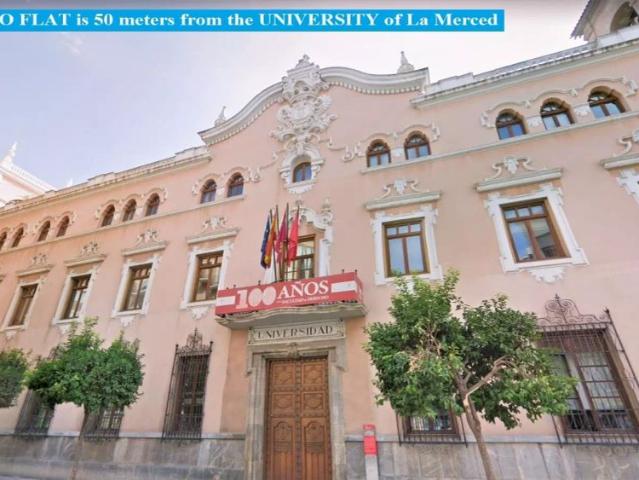 Estudio en alquiler en Murcia, Área Metropolitana de Murcia