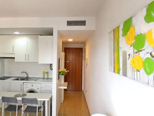 Estudio en alquiler en Murcia, Área Metropolitana de Murcia