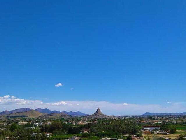Estudio en alquiler en Zarandona, Área Metropolitana de Murcia