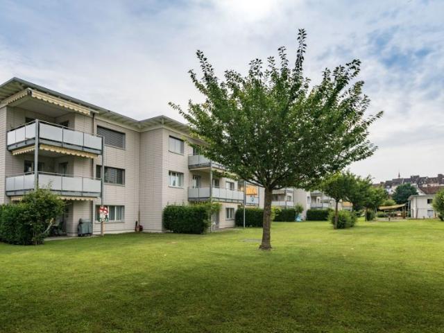 Immobilie mieten in Bremgarten (AG), Aargau