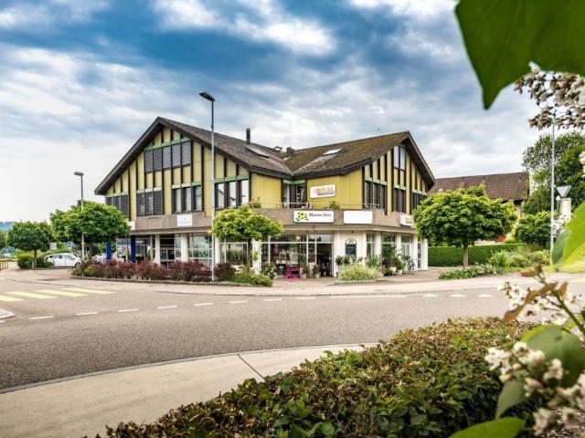 Studio mieten in Berikon, Aargau