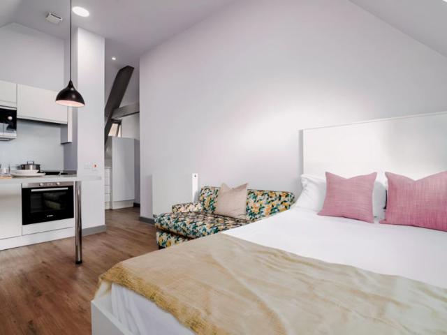 Studio for rent in City Centre, Feckenham