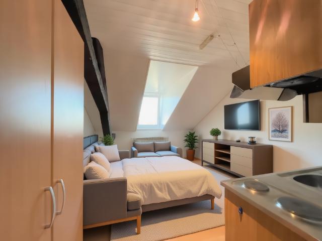 Studio mieten in Delémont, District de Delémont