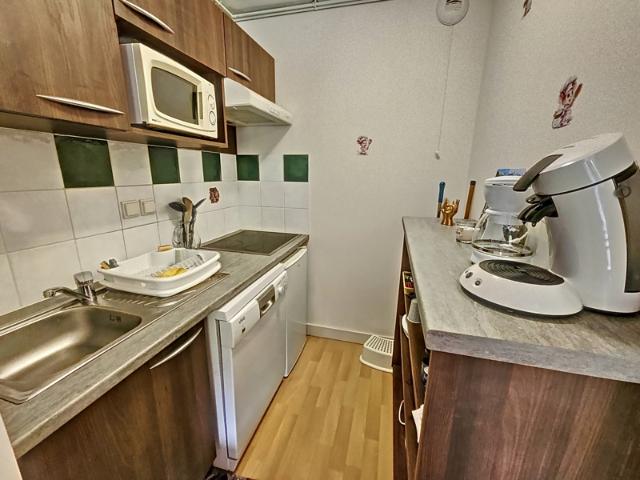 Appartement vente à Saint-Girons, Ustou