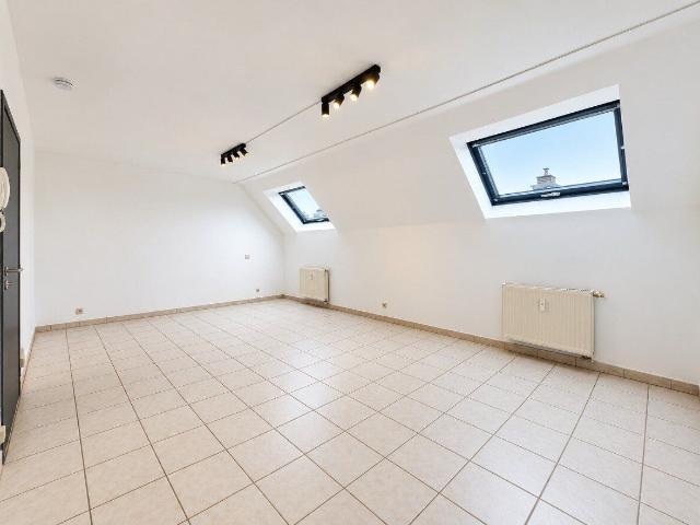 Kot location à Namur