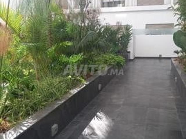 Appartement location