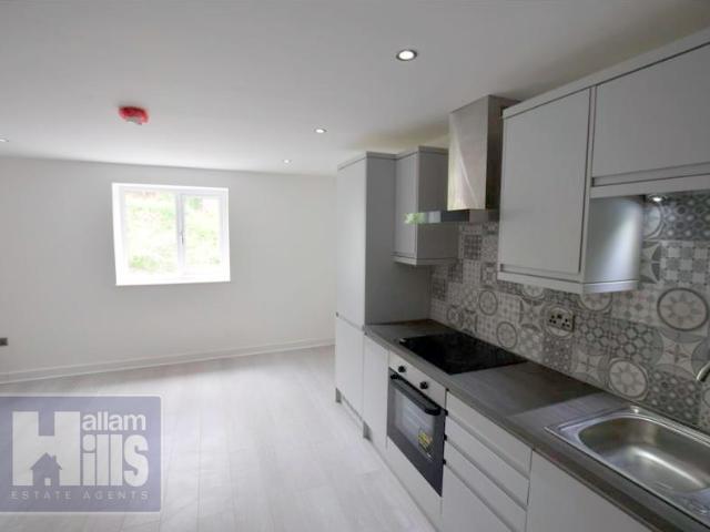 Studio for rent in Lower Walkley, Walkley