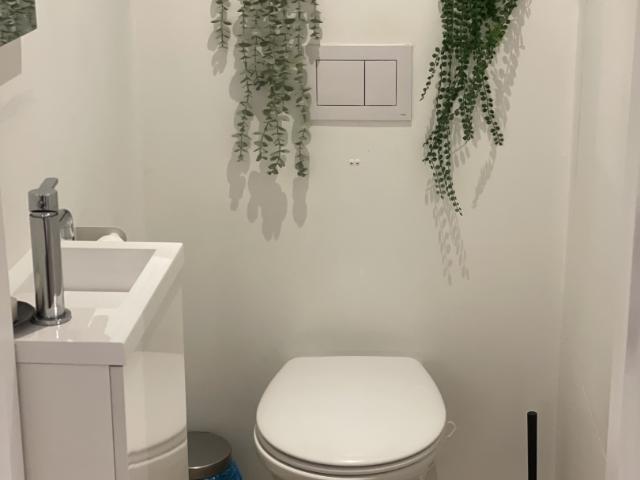 Kot location à Desteldonk, Oost-Vlaanderen