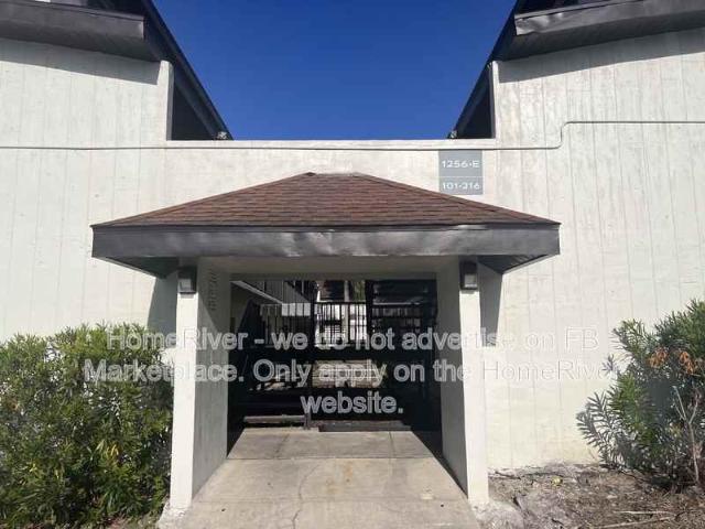 Condo for rent in Tampa, Florida