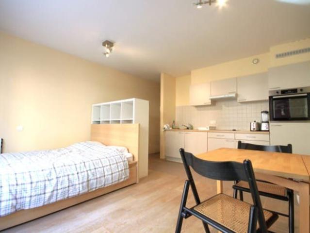Kot location à Ottignies-louvain-la-neuve, Wallonie