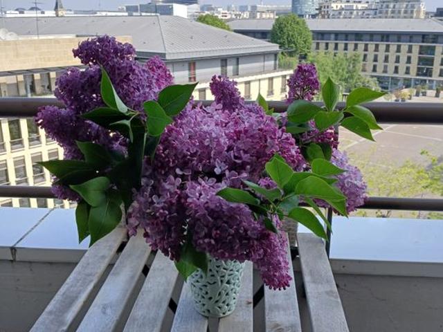 Studio location à Boulogne-Billancourt, Issy-les-moulineaux