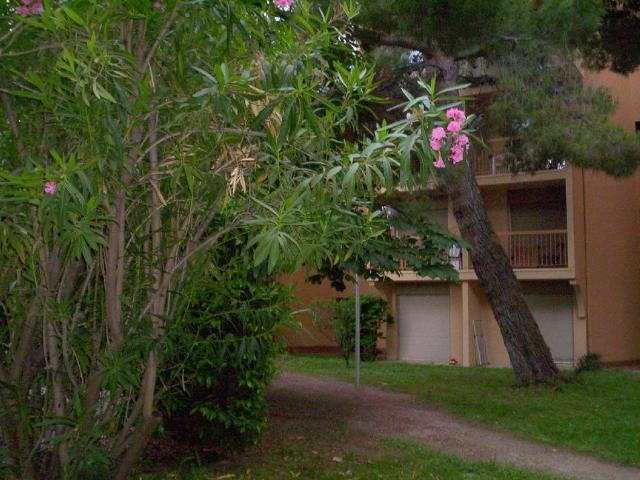 Studio location à Avignon
