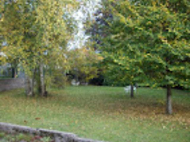 Studio location à Granges-sur-Vologne, Granges-Aumontzey