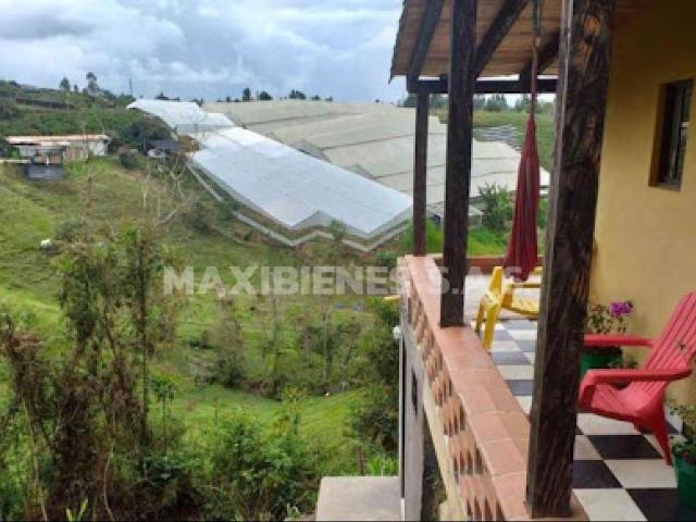 Apartaestudio en arriendo en Antioquia, Hojas