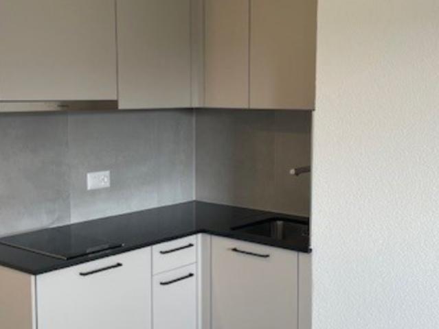 Studio mieten in Puidoux, Waadt