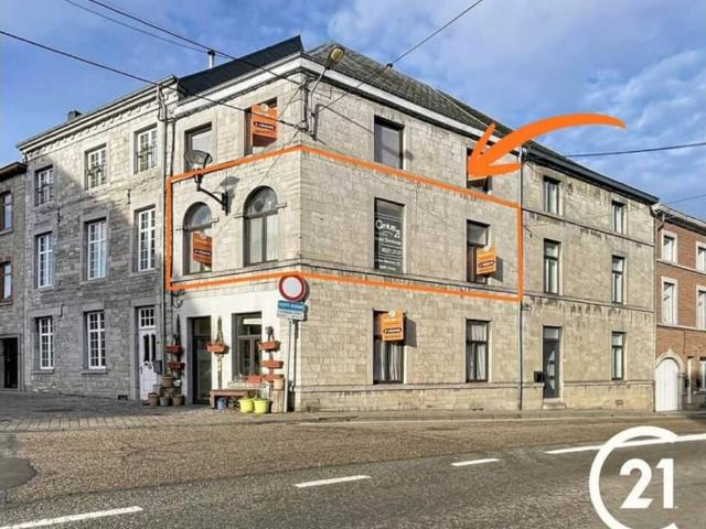 Kot vente à Ciney, Wallonie