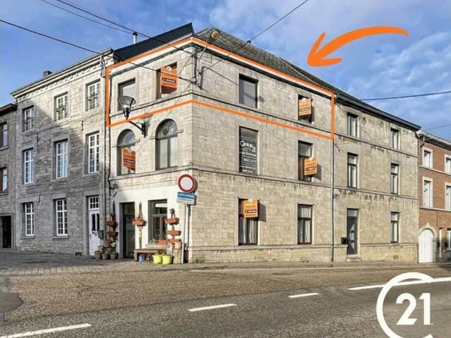Kot vente à Ciney, Wallonie