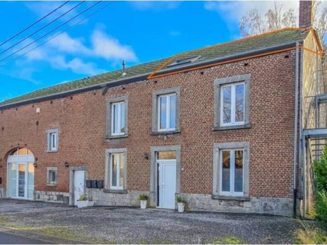 Kot vente à Nassogne, Wallonie