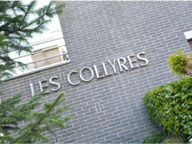 Kot vente à Han-sur-lesse, Wallonie