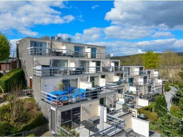 Kot vente à Han-sur-lesse, Wallonie