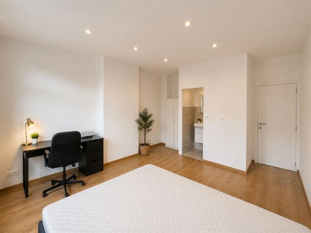 Kot location à D'hoye, Bruxelles