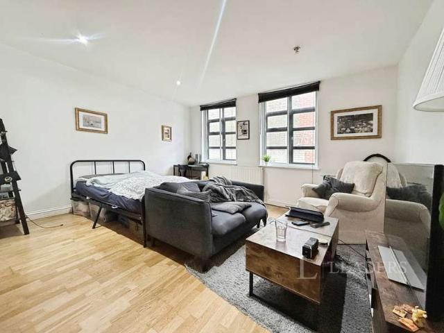 Studio for sale in Spring Park, Luton