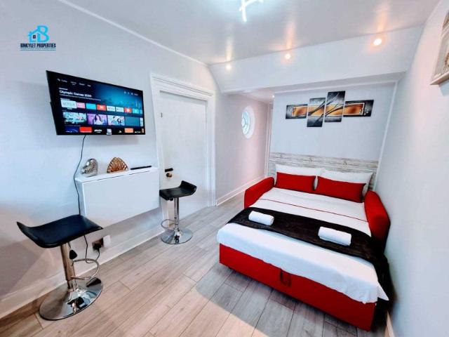 Studio for rent in Greater London