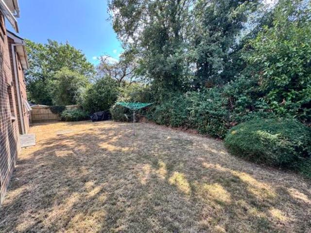 Studio for rent in Chelmsford